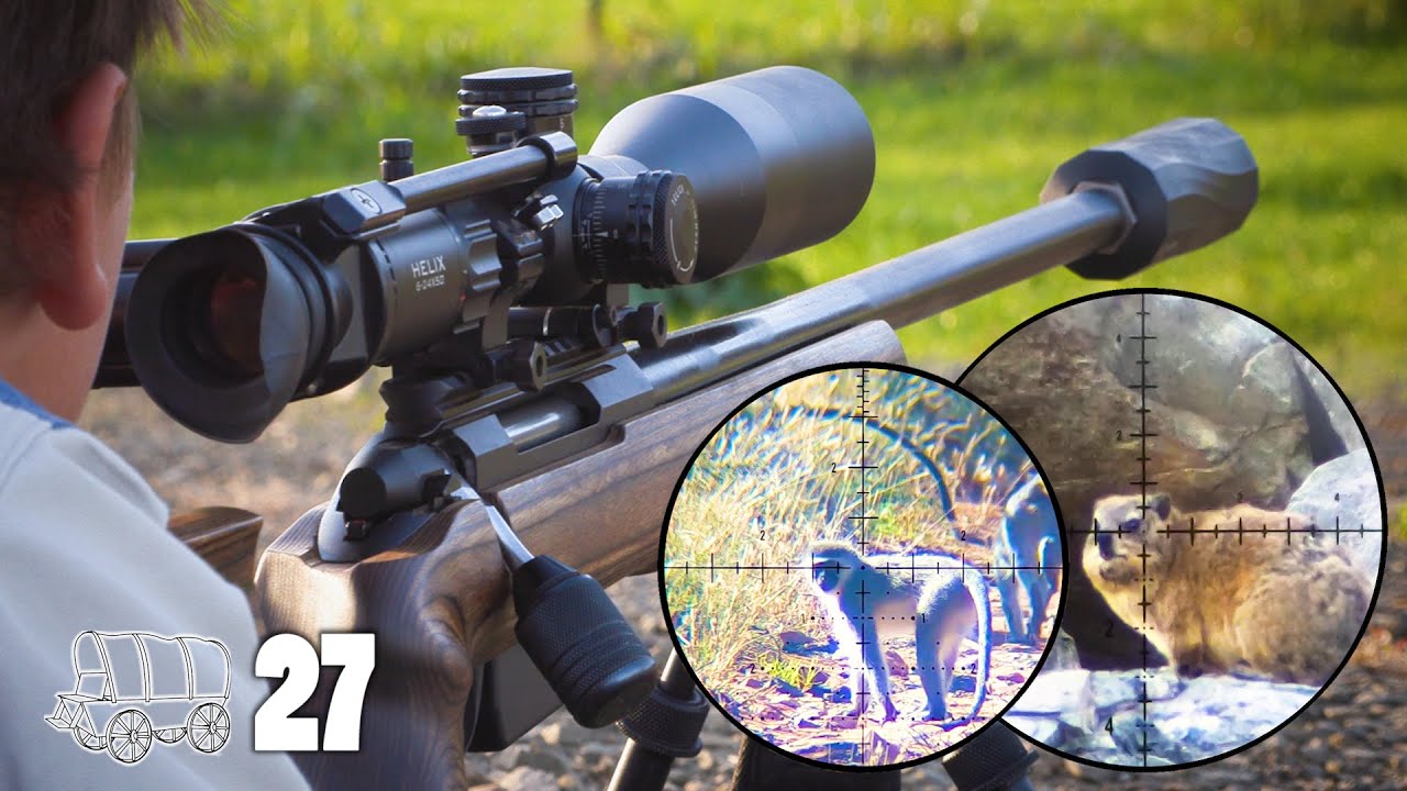 Monkey, Dassie & Guinea Fowl Hunting: Fun with the Neighbour! | Oxwagon Diaries, pt.27