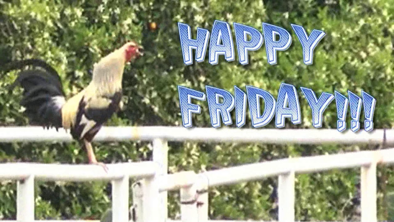 HAPPY FRIDAY!!!