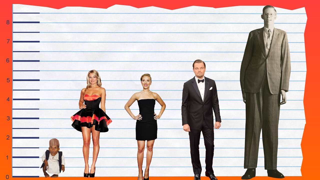 How Tall Is Margot Robbie? - Height Comparison!