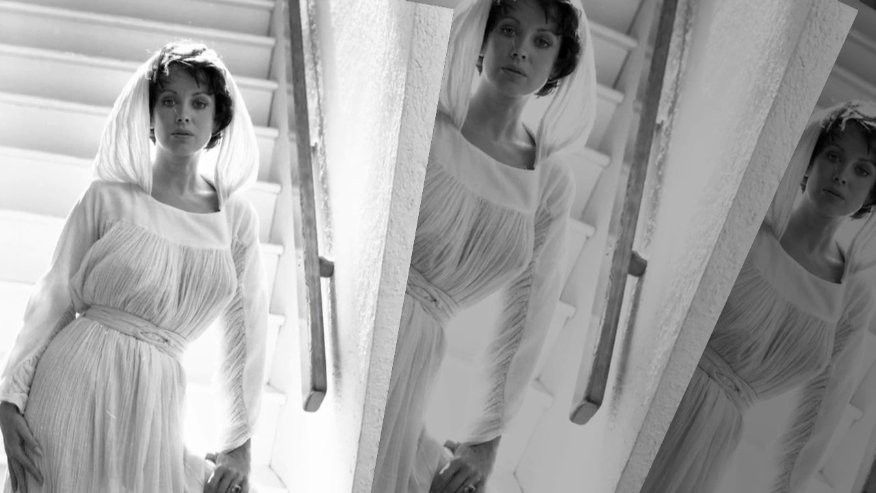 PHYLLIS DAVIS TRIBUTE