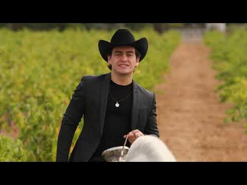 Julian Figueroa - Ay Amor (English version)