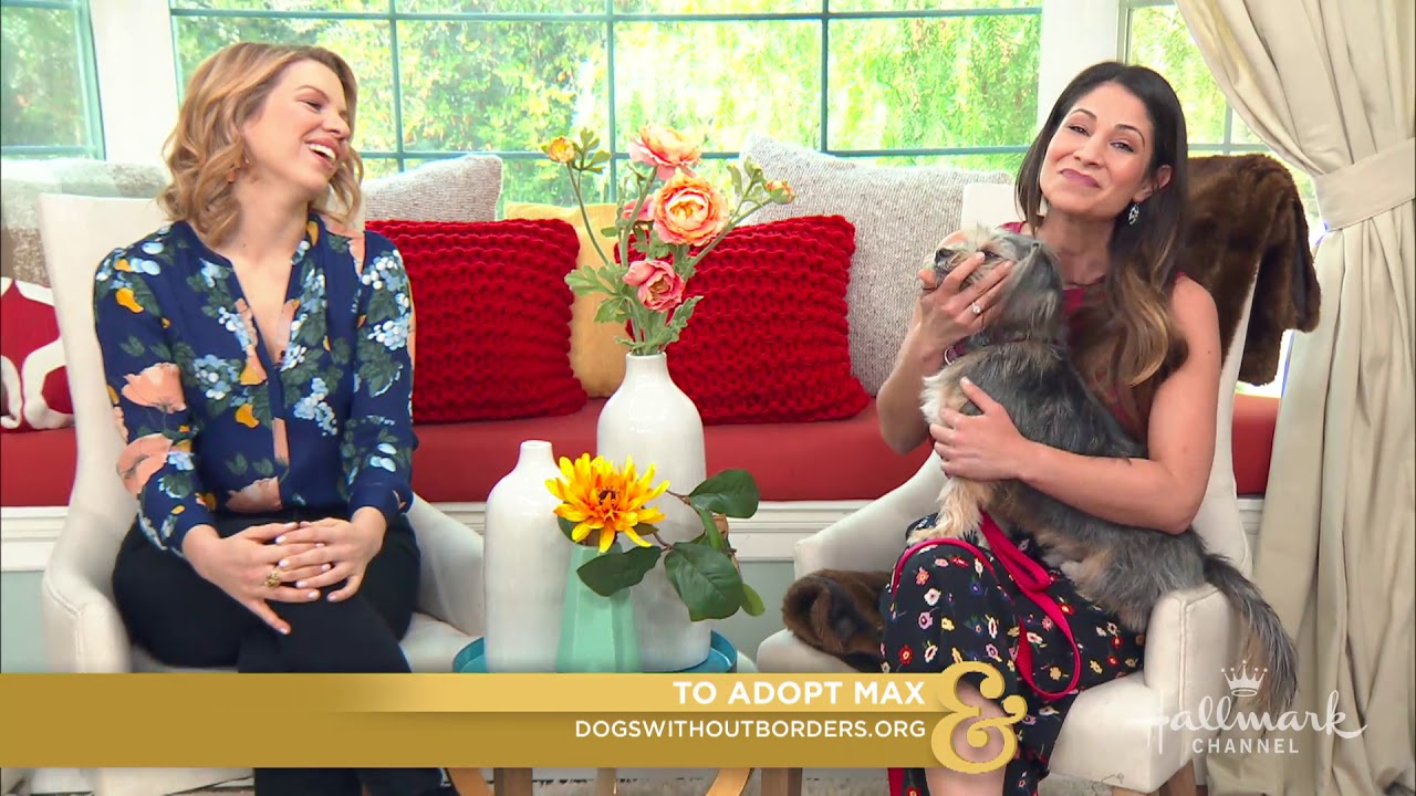 Highlights - Ali Liebert Pet Adoption - Hallmark Channel