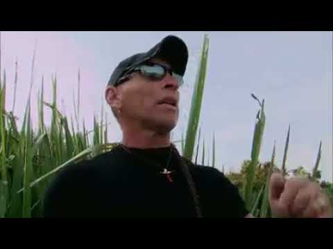 "Swamp People" - Mondays on Defy TV