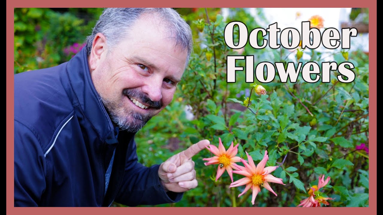 October Flower Tour