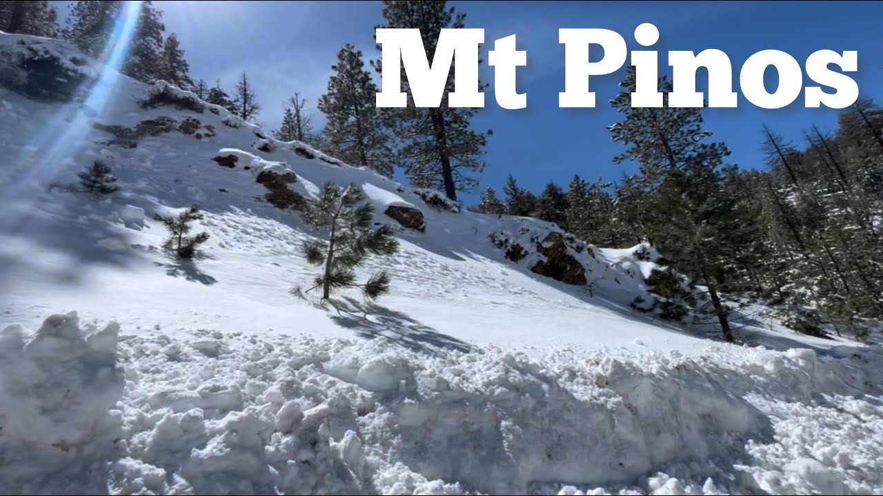 Mt Pinos, California