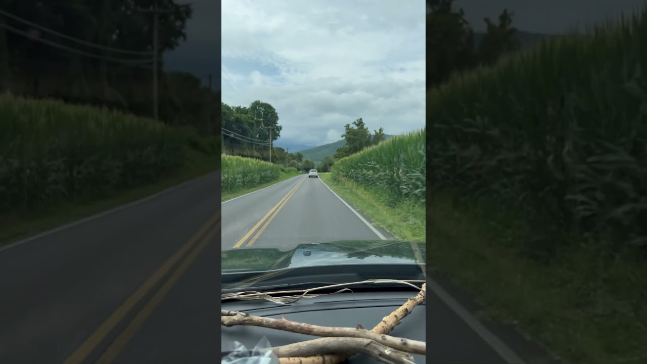What State am I in?