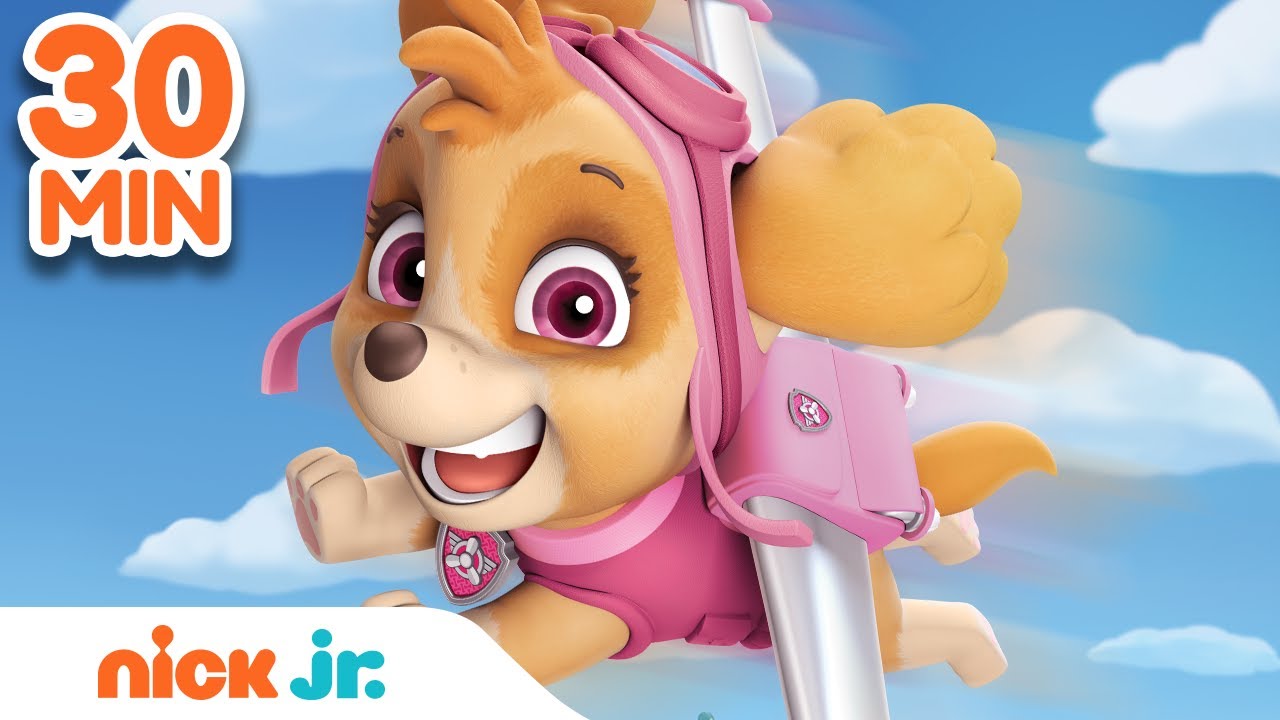Best of Skye 🐶 PAW Patrol! | 30 Minute Compilation | Nick Jr.