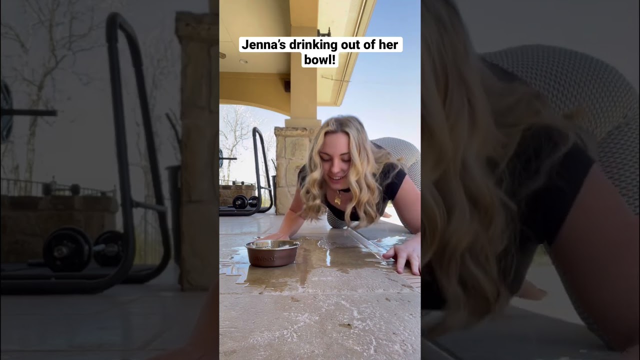 Jenna has a water bowl today! #shorts