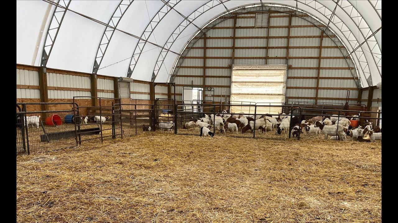 How many days until spring?! Bloating goats and dropping temps make us question our life choices!