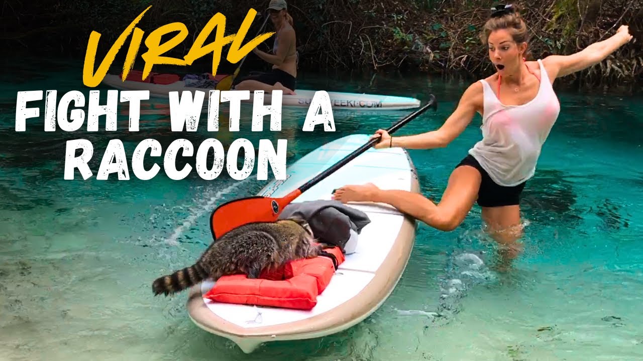 Janna Breslin VS Raccoon
