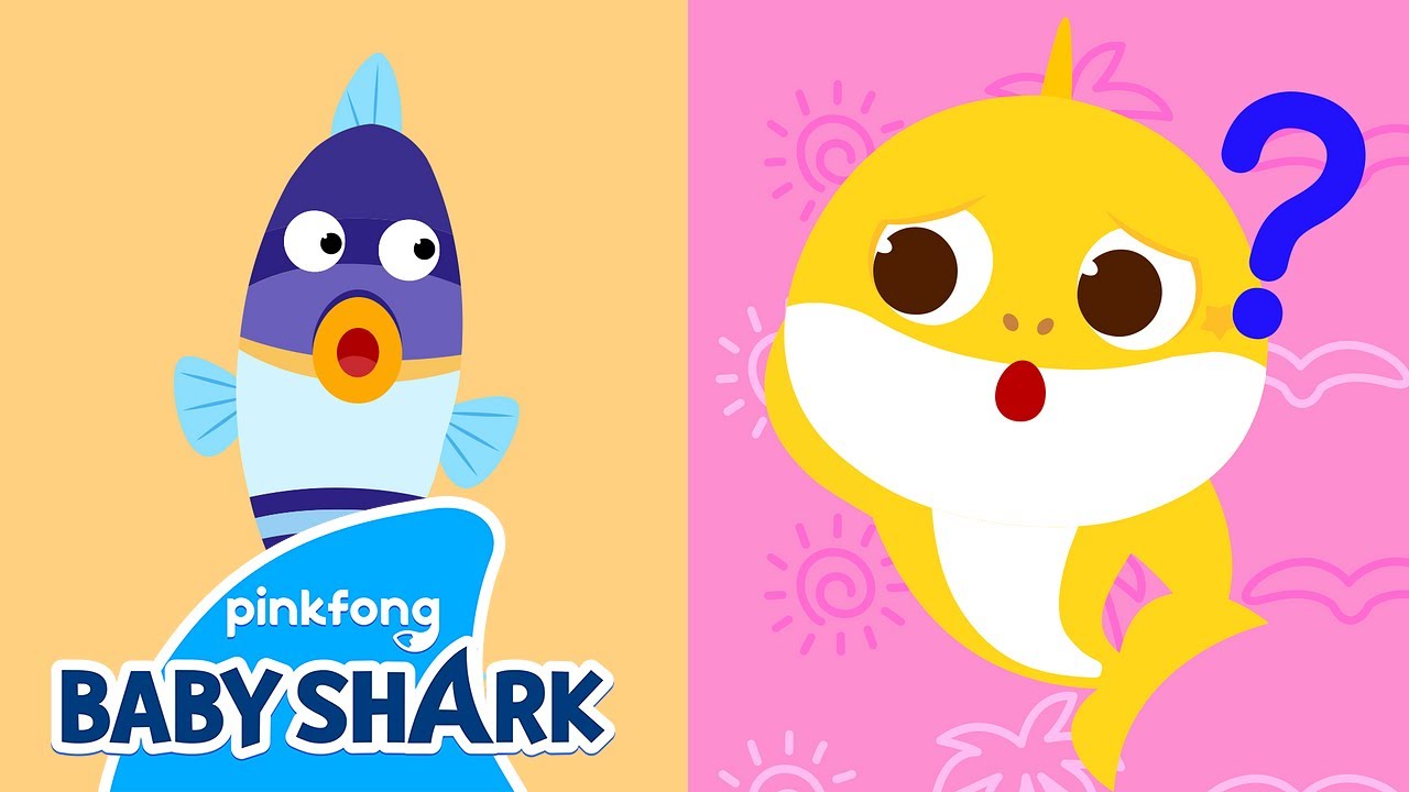 🐠Humuhumunukunukuapua'a | Who's Got the Longest Name? | Baby Shark Sing Along | Baby Shark Official