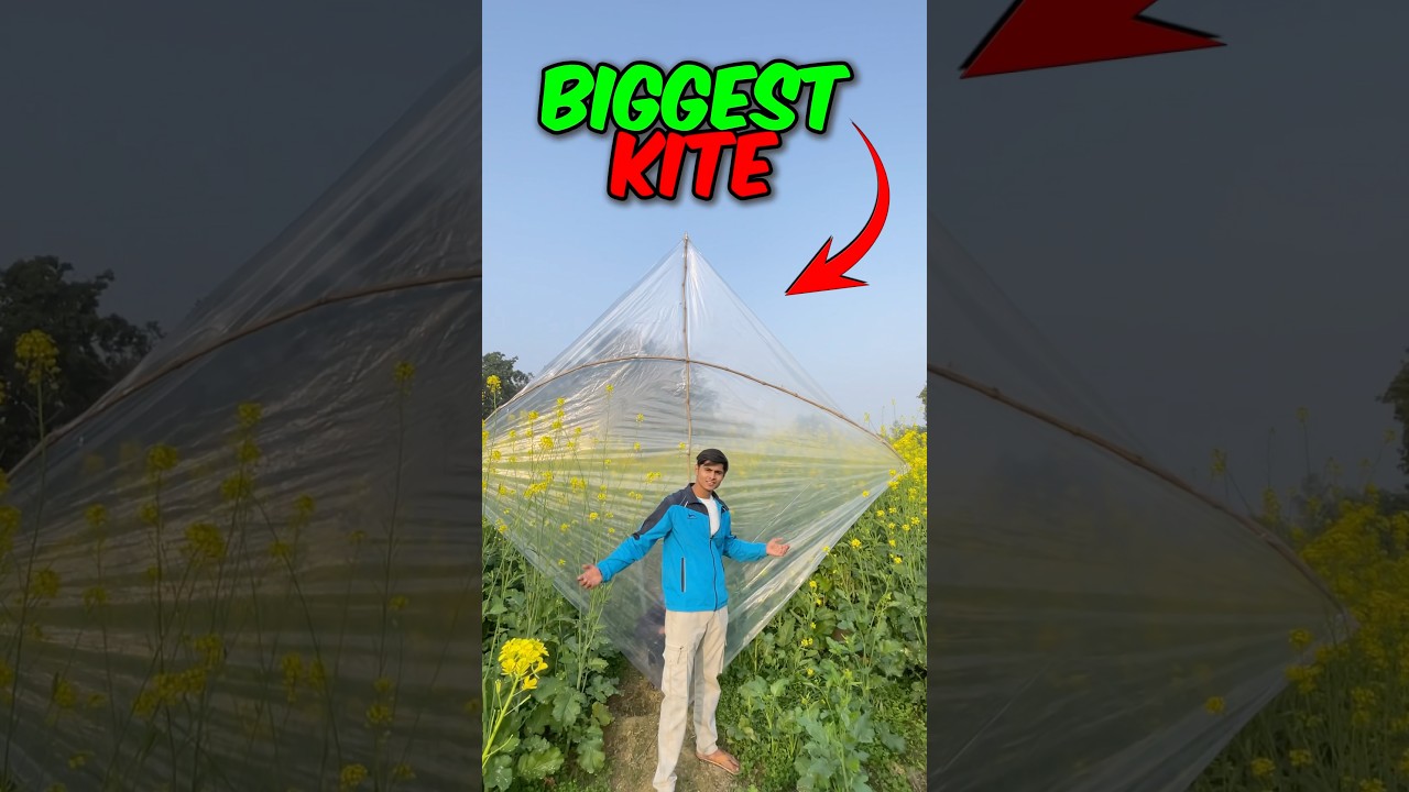 World Biggest Kite 🪁🧵
