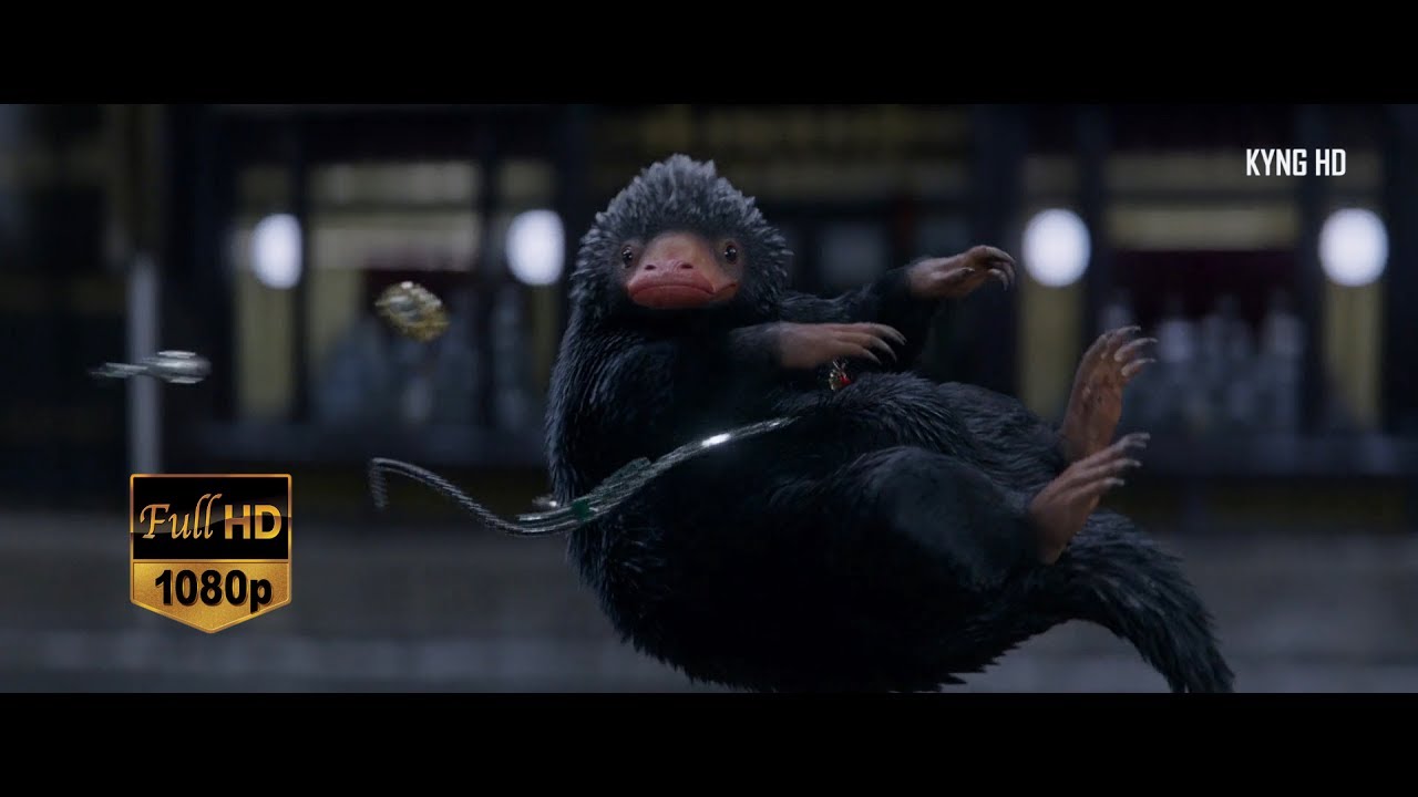 Newt catching Niffler [Full HD 1080p]