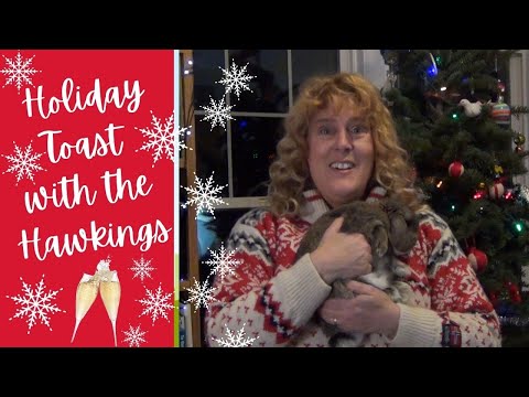 Holiday Toast with Katrina & Robert Hawking 2020