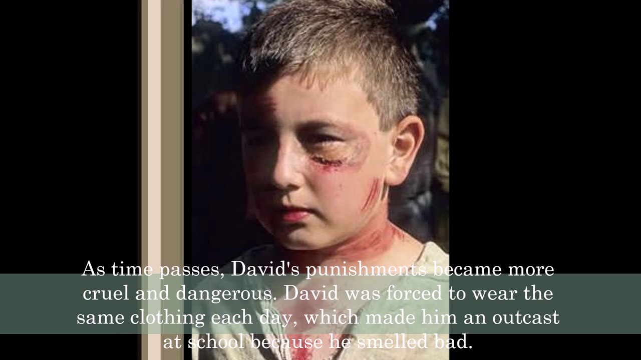 A Child Called It by Dave Pelzer Summary