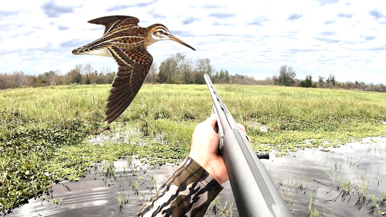 HUNTING the FASTEST game BIRD on EARTH *SNIPE* CC&C BlueGabe Style