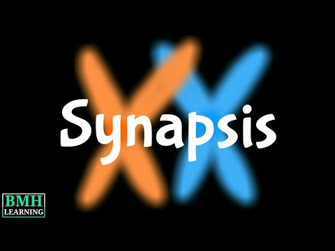 Synapsis | Syndesis | Difference Between Synapsis & Crossing Over |