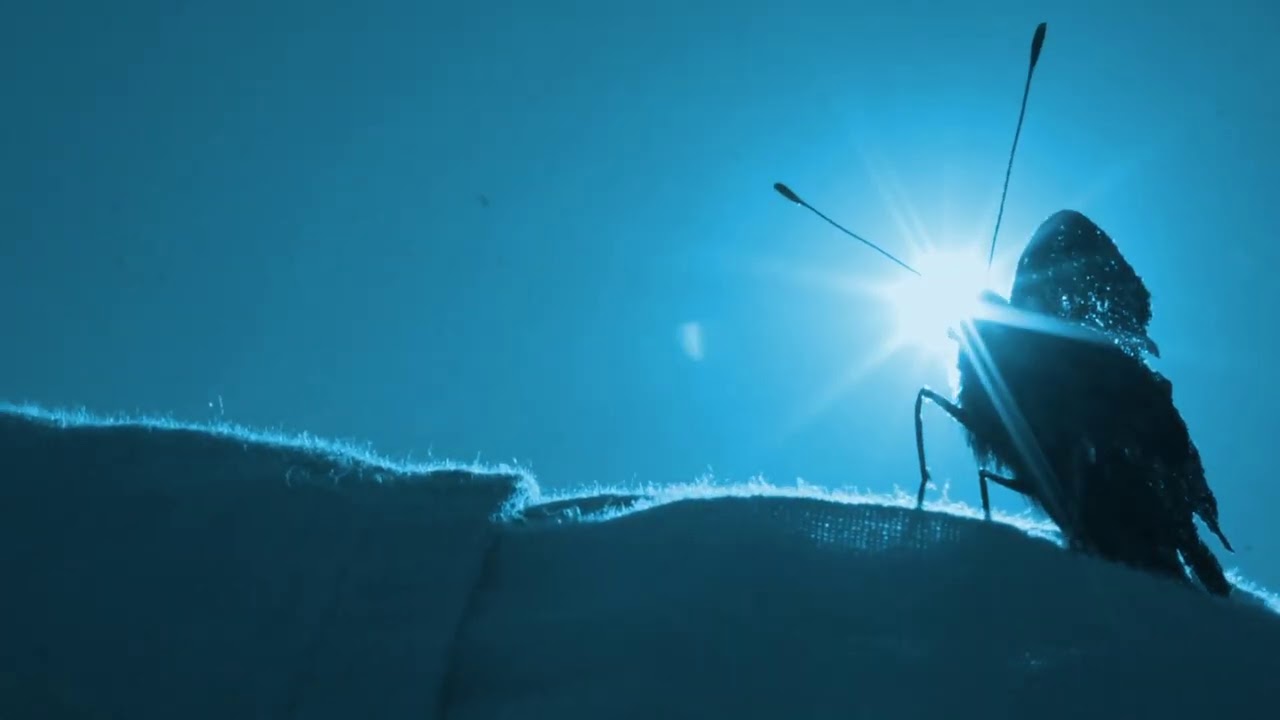 Roger & Brian Eno – Cerulean Blue (Official Music Video)