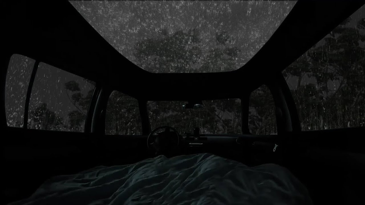 Relaxing White Noise _ Gentle Rain & Distant Thunder for Deep Sleep, Calm Nights & Insomnia Relief🌧️